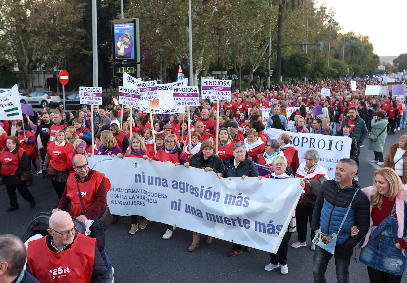 Fotos: la concurrida manifestación contra la violencia machista en Córdoba