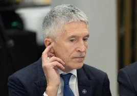 El PP insta a que «el Congreso, y si no el Senado» investigue «la responsabilidad política» de Marlaska en el caso balizas