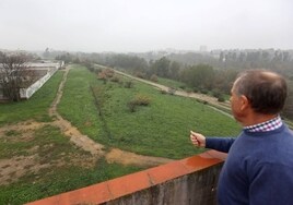El futuro puente de Loyola en Córdoba se convierte en la clave del Cordel de Écija