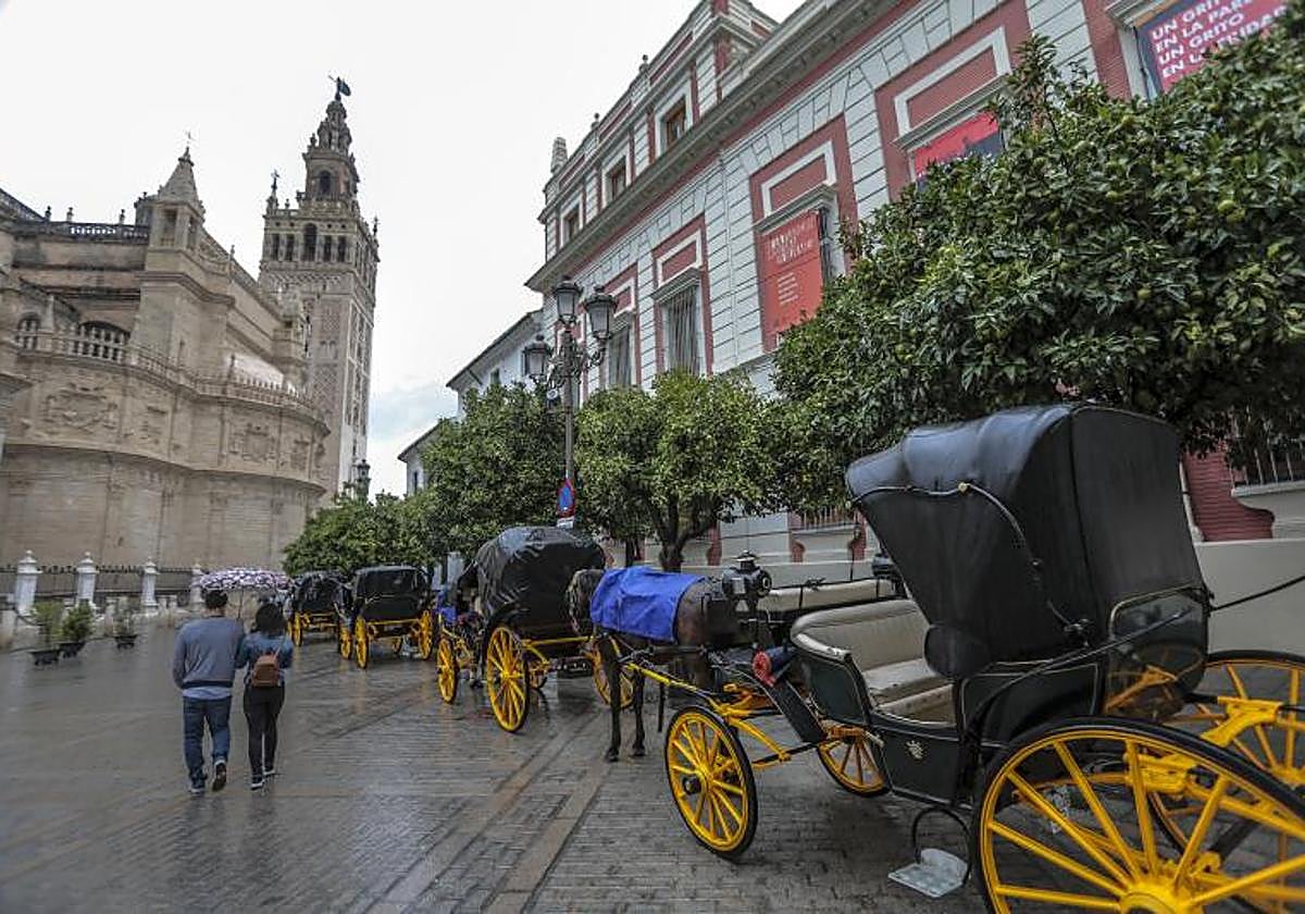 Cielos nublados y algunos chubascos en Sevilla