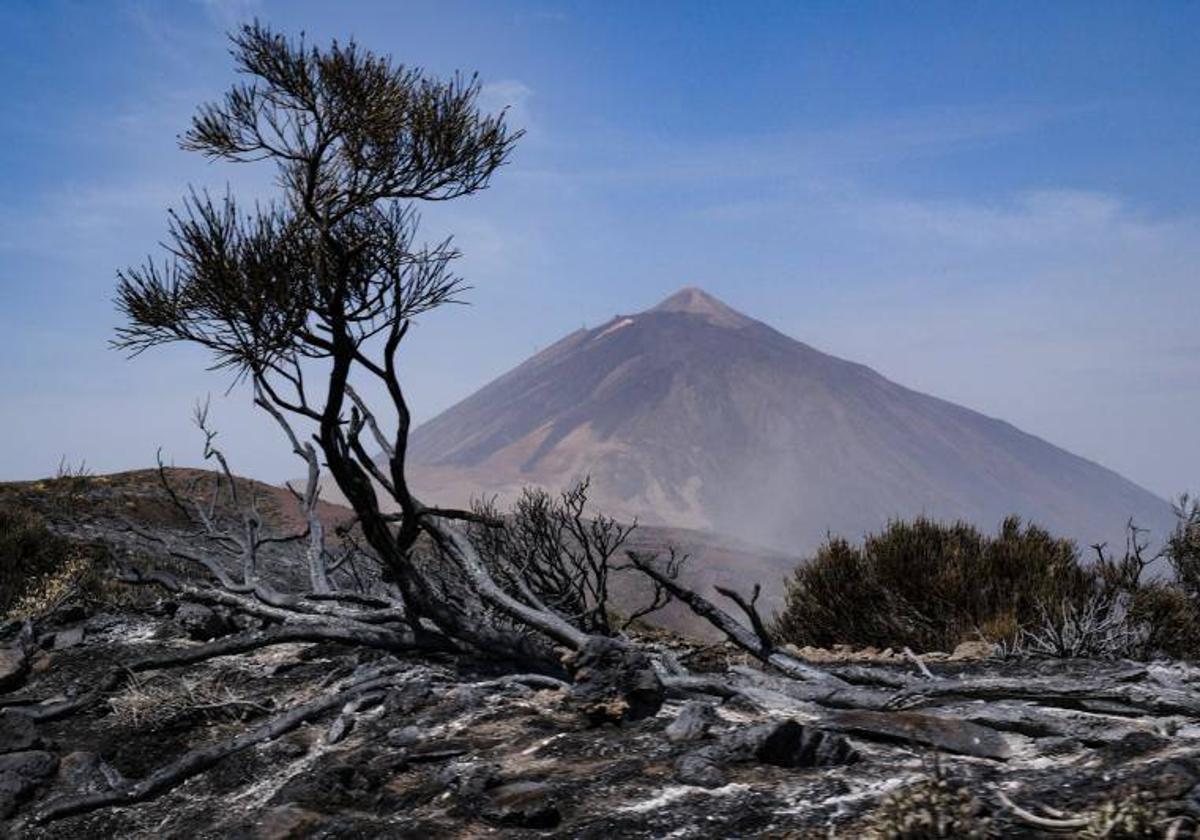 El Parque Nacional del Teide