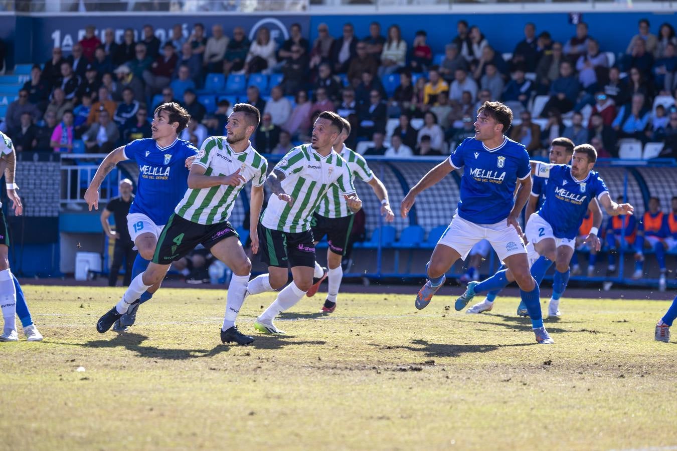 El Melilla-Córdoba CF y el gran susto con Gudelj, en imágenes