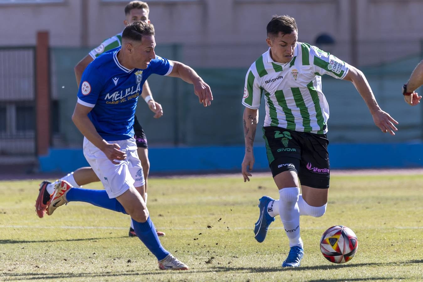 El Melilla-Córdoba CF y el gran susto con Gudelj, en imágenes