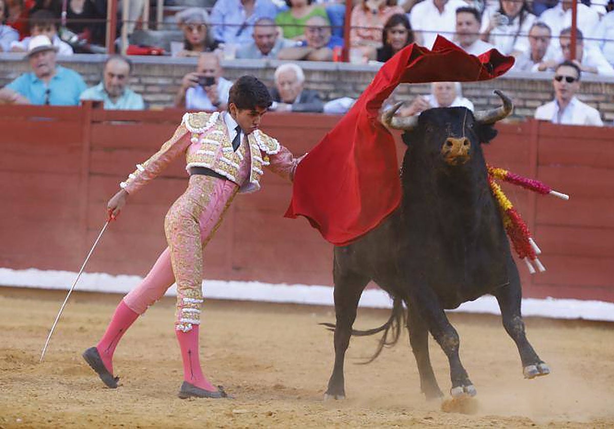 El novillero cordobés Manuel Román en una de sus intervenciones en Los Califas