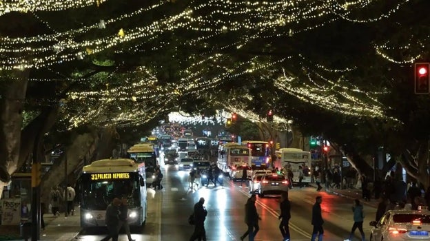 Luces entre los ficus centenarios de la Alameda Principal