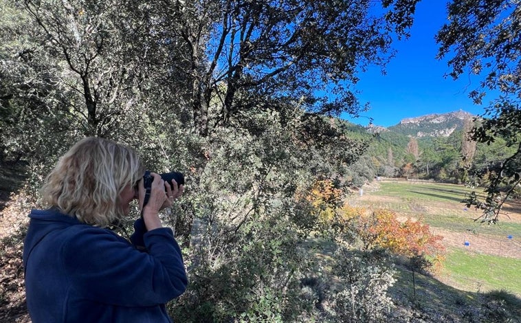 Imagen principal - Beatriz dice que no necesita despertador y que siempre está ocupada paseando por el bosque con su cámara, leyendo, sacando las gallinas o arreglando la casa para los huéspedes, que suelen llegar los fines de semana. 