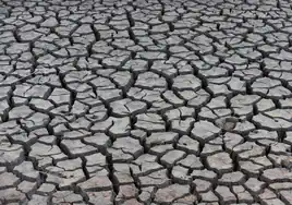 La peor sequía del pasado siglo acarreó restricciones durante cuatro años seguidos