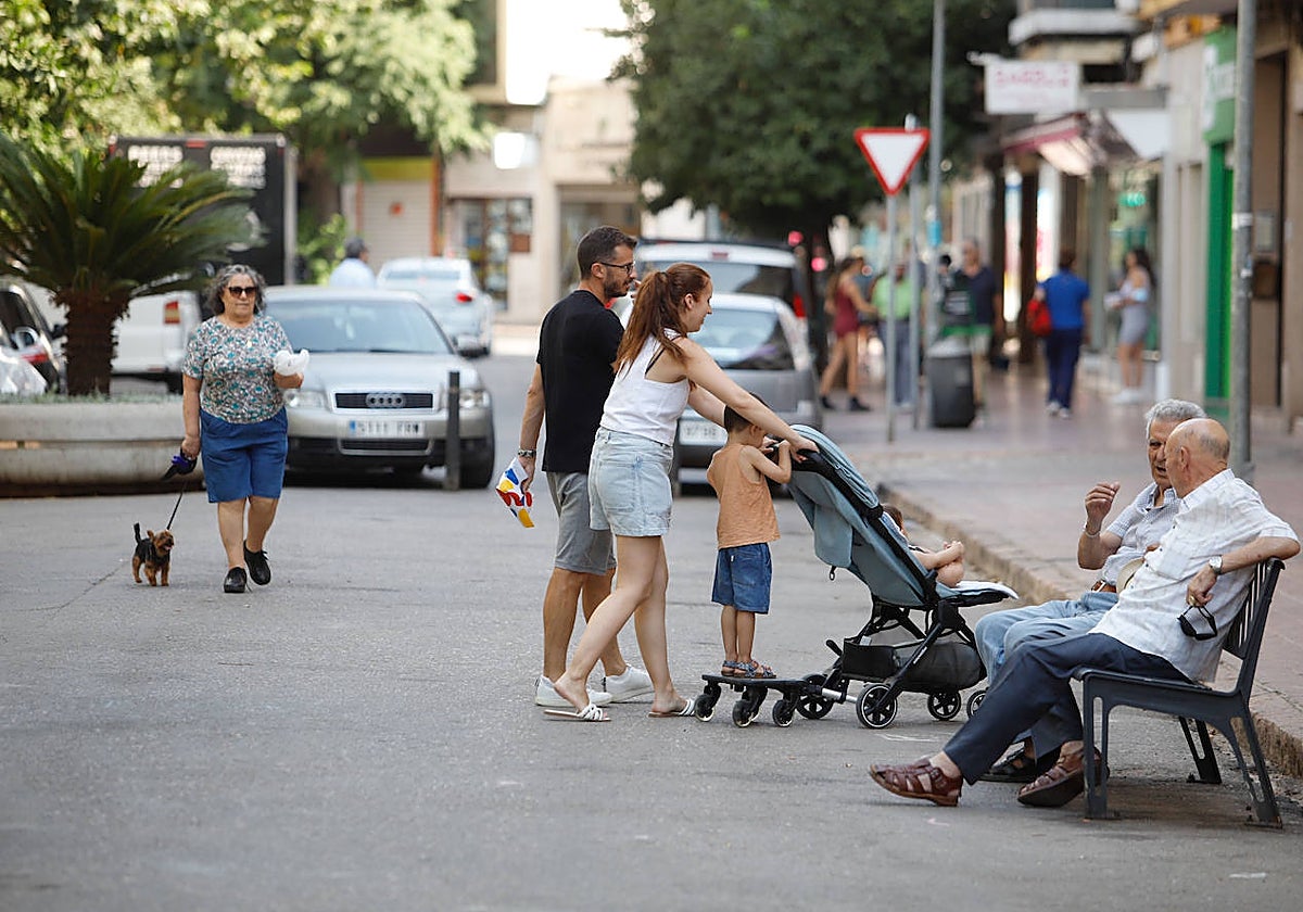 La avenida de la Viñuela, restringida ahora al tráfico de forma provisional