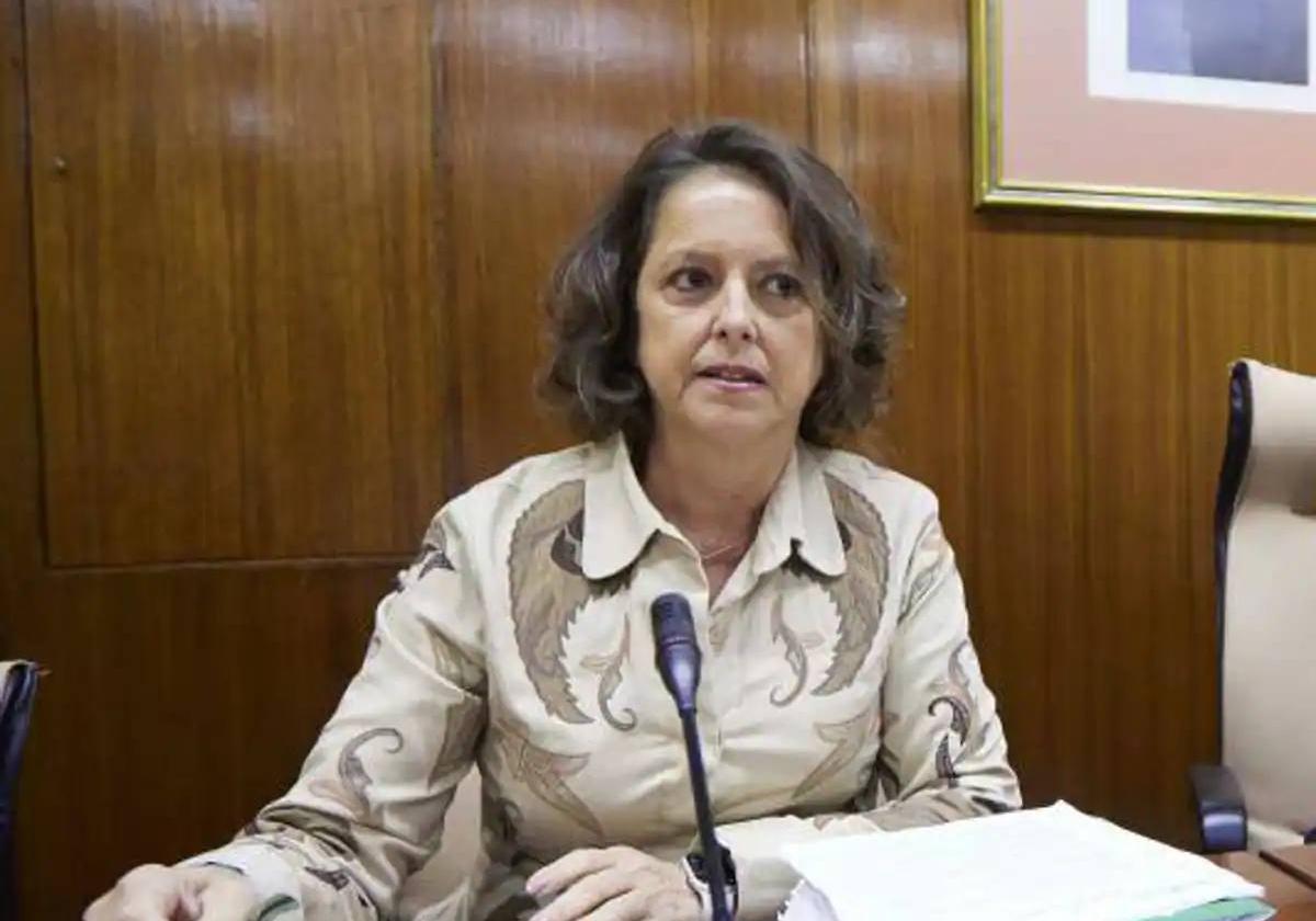 La consejera Catalina García