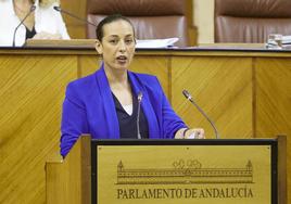 El PSOE avisa que el grupo de trabajo del Parlamento de Andalucía sobre violencia de género nunca ha llegado a reunirse