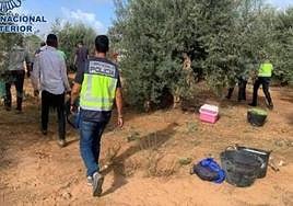 Tres detenidos por explotar a inmigrantes en situación irregular para trabajar en el campo en Adamuz