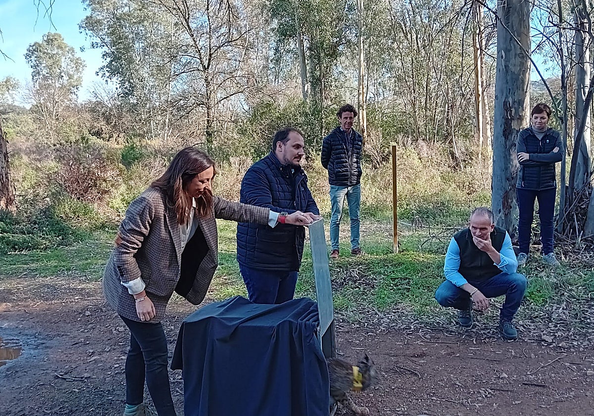 Imagen de la suelta en Córdoba de 'Tardío'