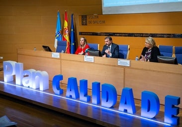 Sanidade asegura que la tensión en Urgencias por la gripe es «temporal»