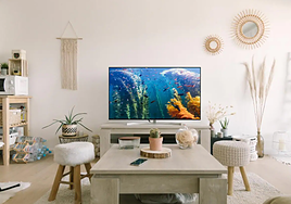 Disfruta del único negro puro gracias a la tecnología OLED