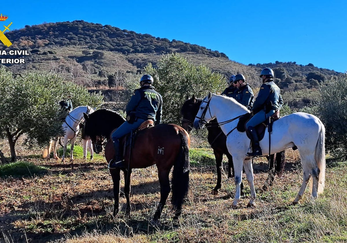 Guardias del servicio de Caballería realizan labores de vigilancia en la zona de Alcaraz