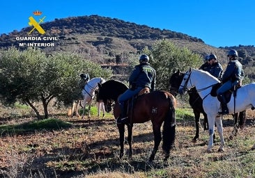 Vigilar los campos de Castilla-La Mancha montados a caballo, pero también en helicóptero