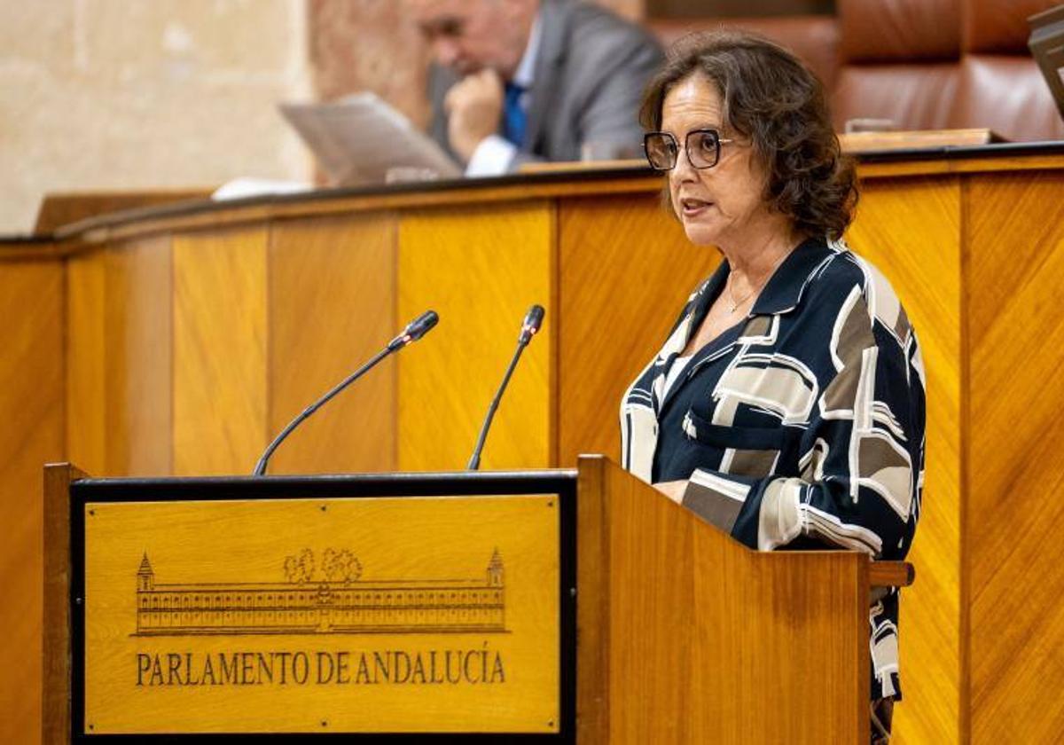 La consejera Catalina García