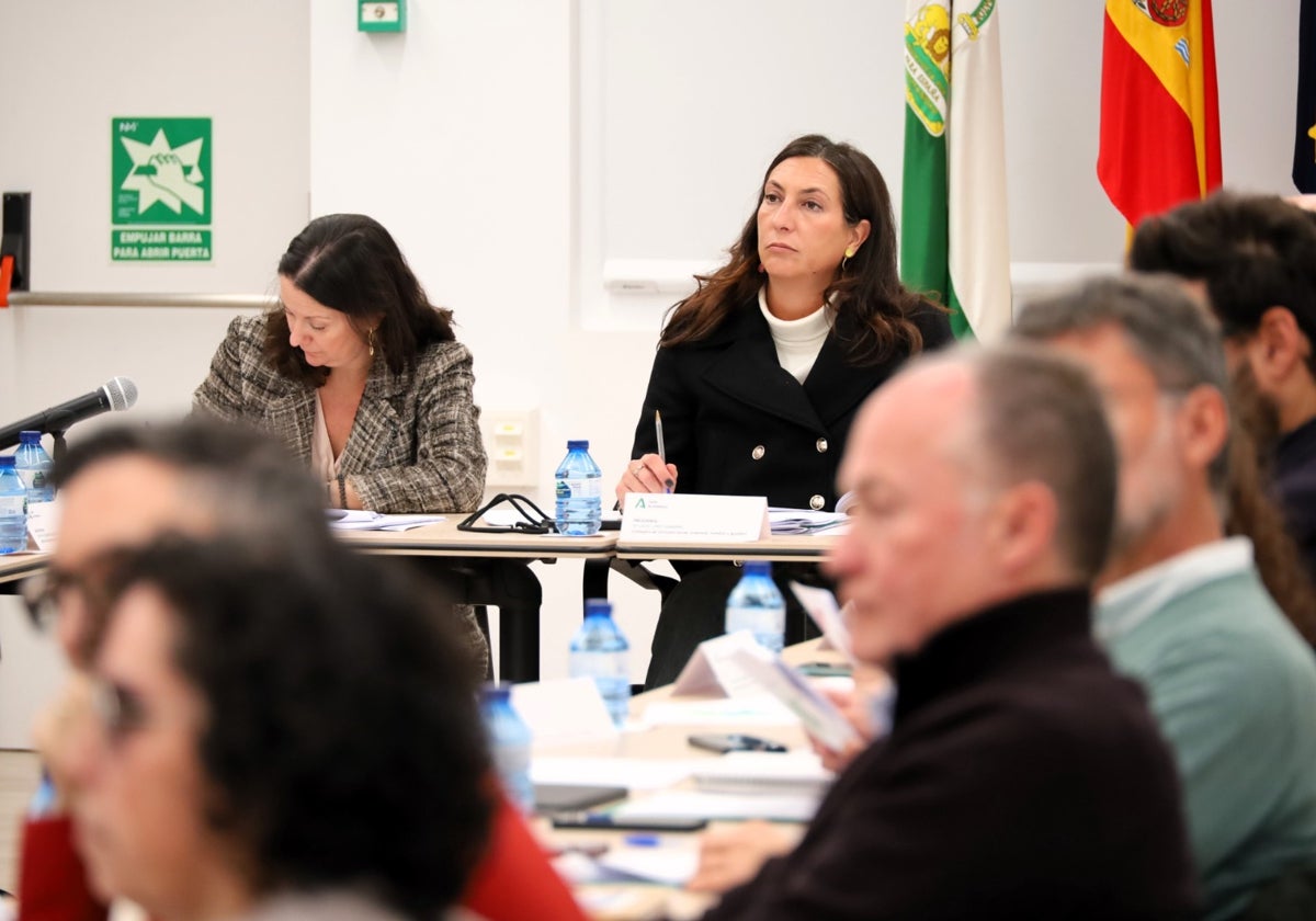 Loles López, este miércoles en la reunión del Observatorio contra la Violencia de Género