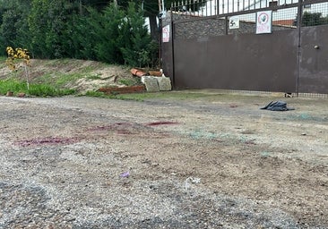 Crimen de los dos hermanos asesinados a tiros en Casarrubios: «Iban a comprar un camión»