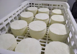 La Mueda, la quesería artesana de Toledo que se estrena colando a un queso suyo entre los mejores del mundo