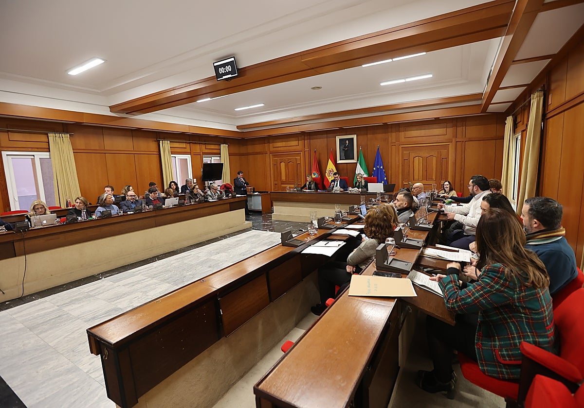 Pleno ordinario de diciembre en el Ayuntamiento de Córdoba