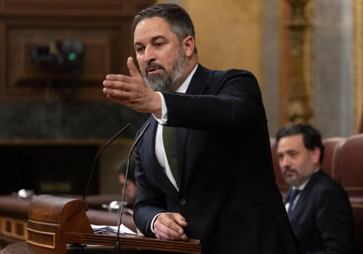 El líder de Vox, Santiago Abascal, en una intervención en el pleno del Congreso