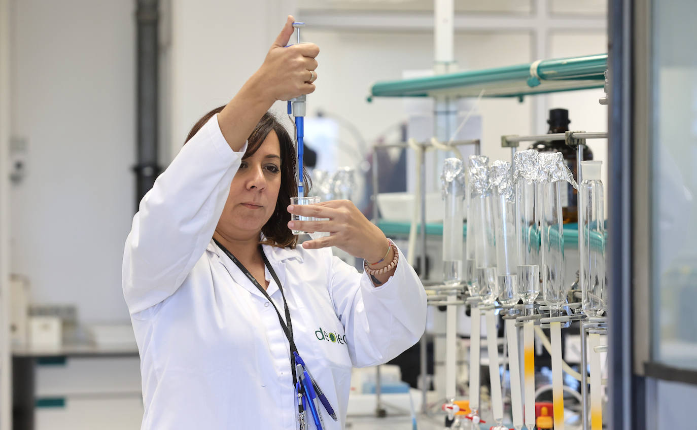 Fotos: así es la imponente planta de Deoleo en Córdoba