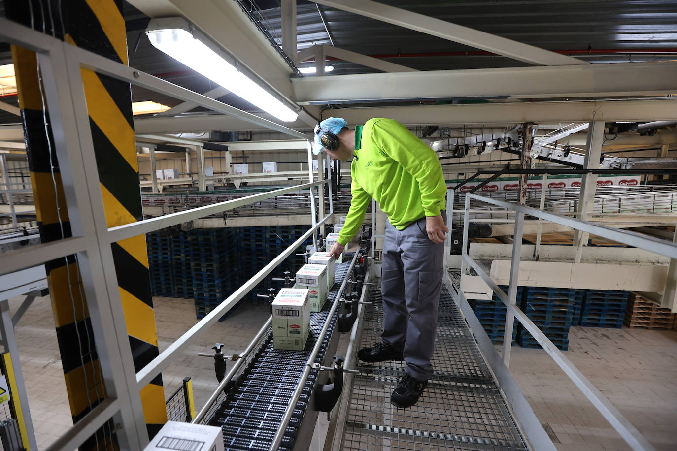 Fotos: así es la imponente planta de Deoleo en Córdoba