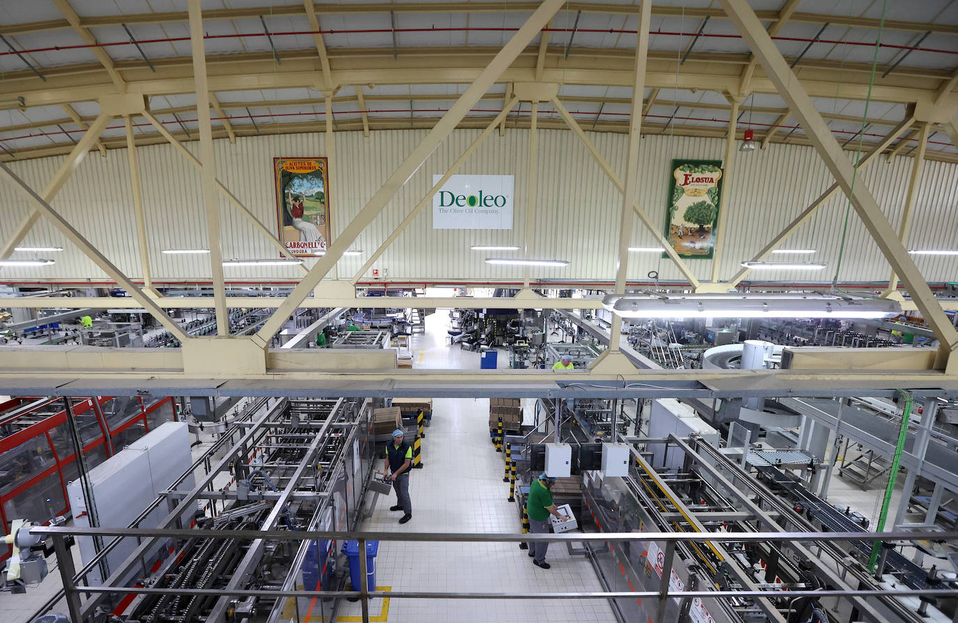 Fotos: así es la imponente planta de Deoleo en Córdoba