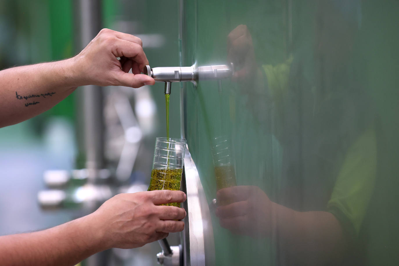 Fotos: así es la imponente planta de Deoleo en Córdoba