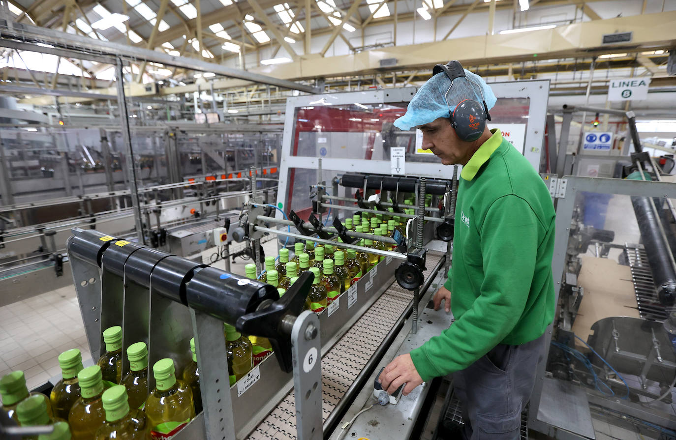 Fotos: así es la imponente planta de Deoleo en Córdoba
