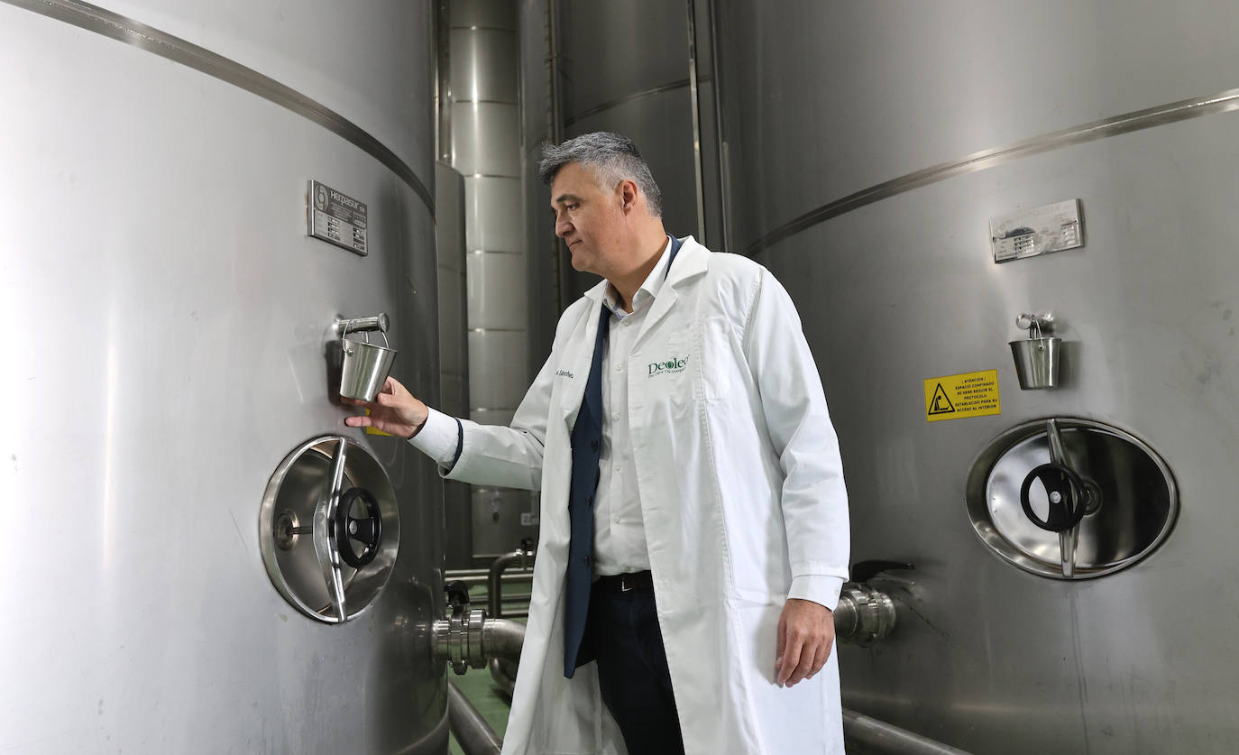 Fotos: así es la imponente planta de Deoleo en Córdoba