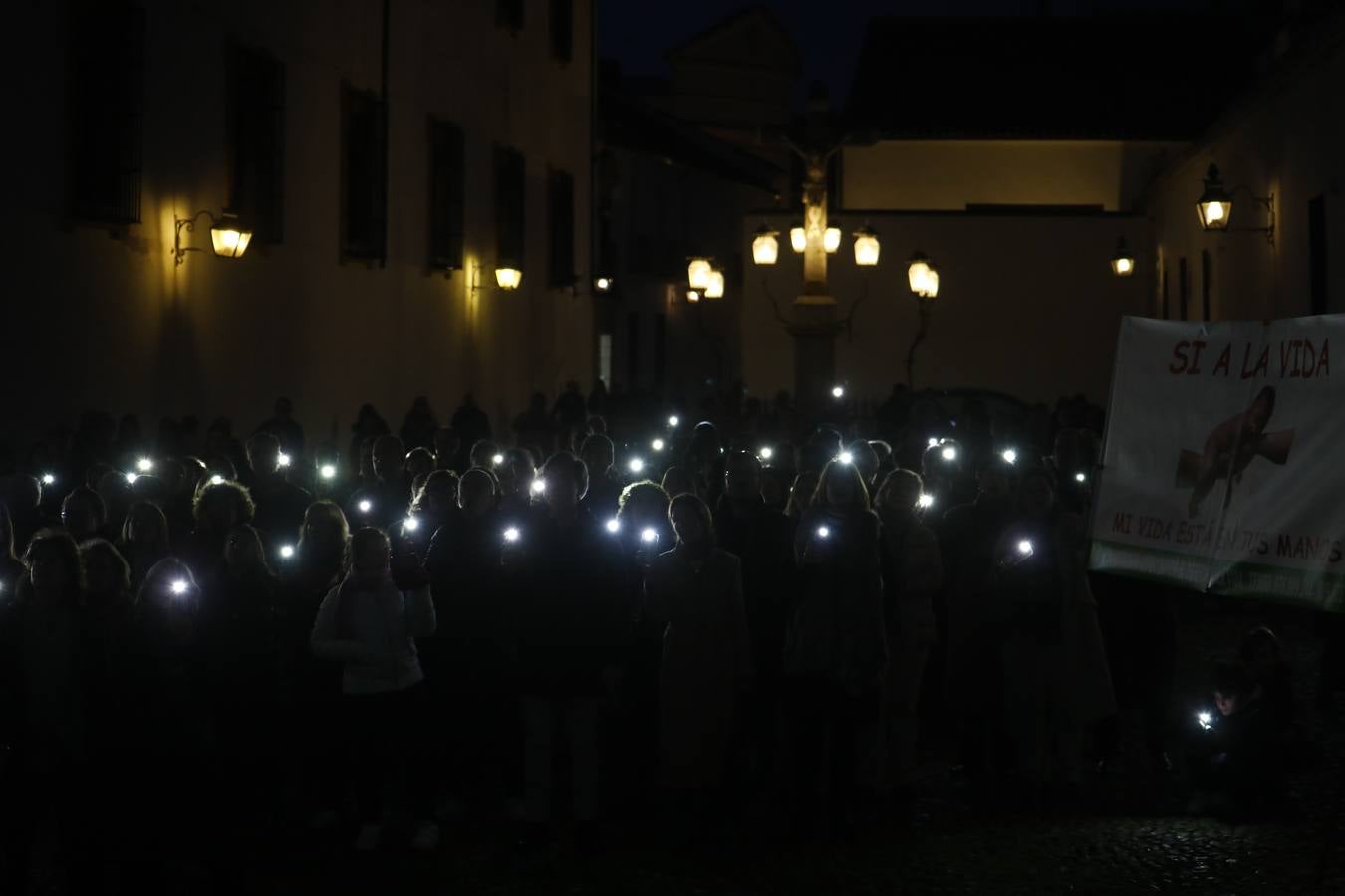 Fotos: luz en defensa de los más inocentes en Córdoba