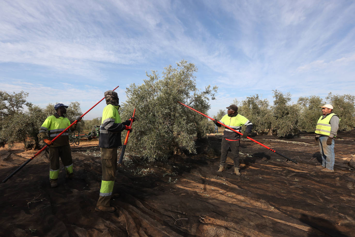 Fotos: un día en las entrañas del Equipo Roca de la Guardia Civil