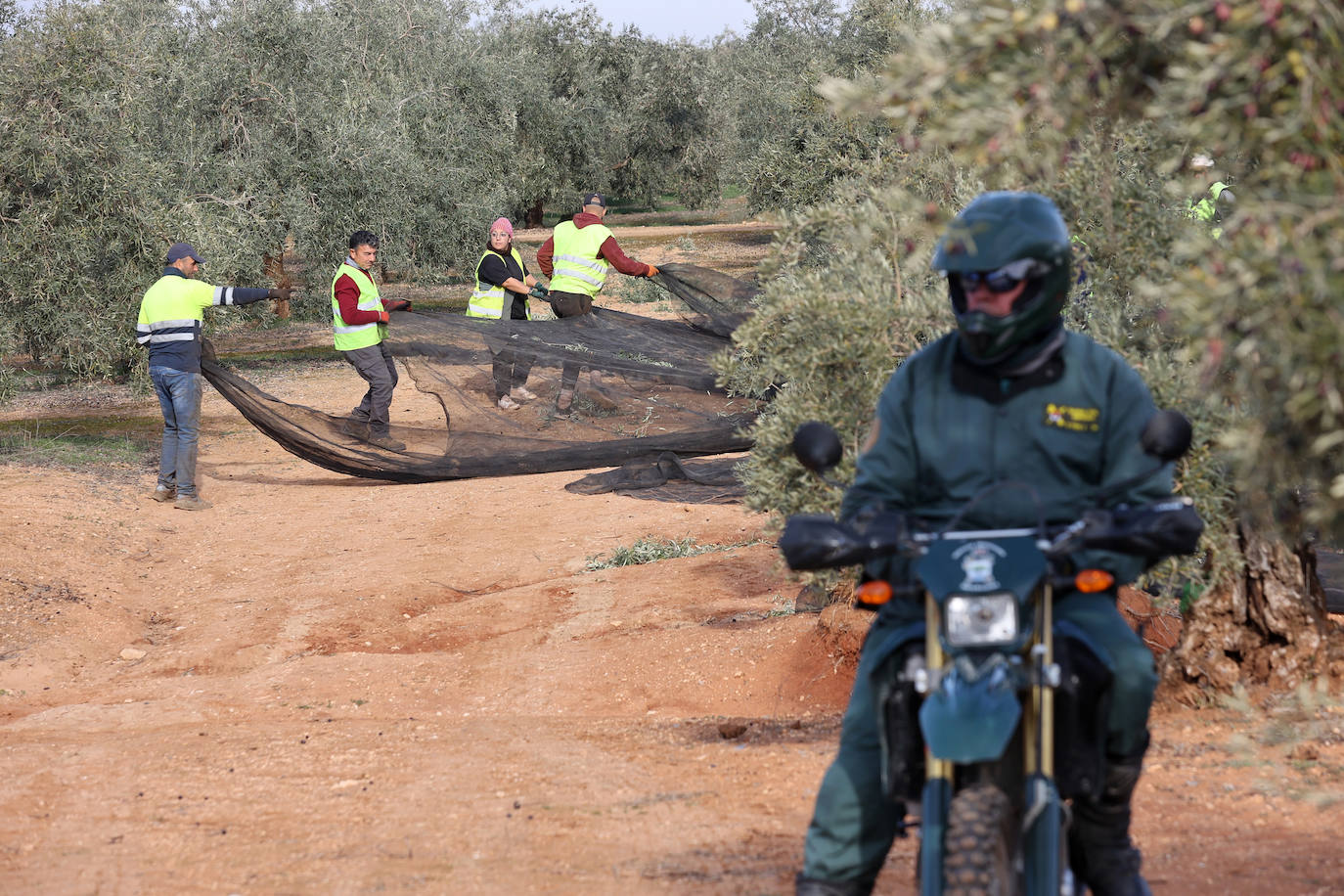 Fotos: un día en las entrañas del Equipo Roca de la Guardia Civil