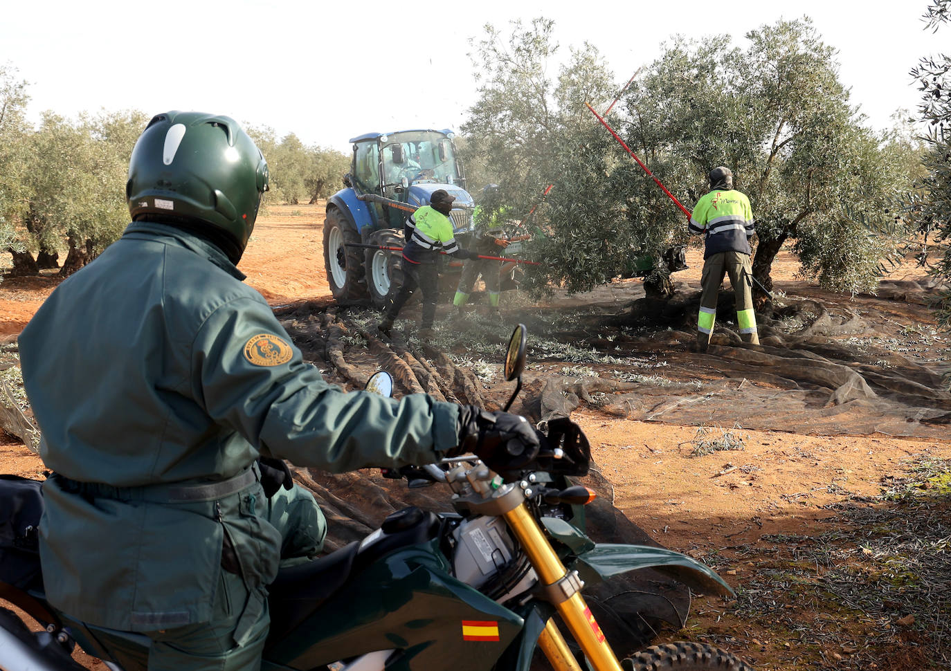 Fotos: un día en las entrañas del Equipo Roca de la Guardia Civil