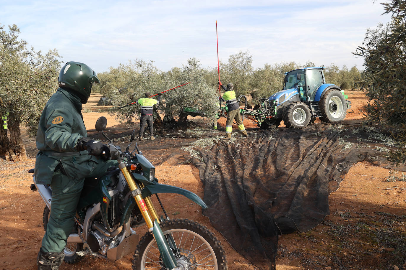 Fotos: un día en las entrañas del Equipo Roca de la Guardia Civil