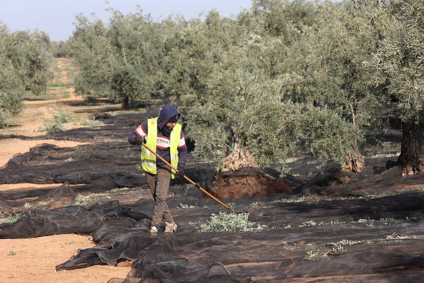 Fotos: un día en las entrañas del Equipo Roca de la Guardia Civil
