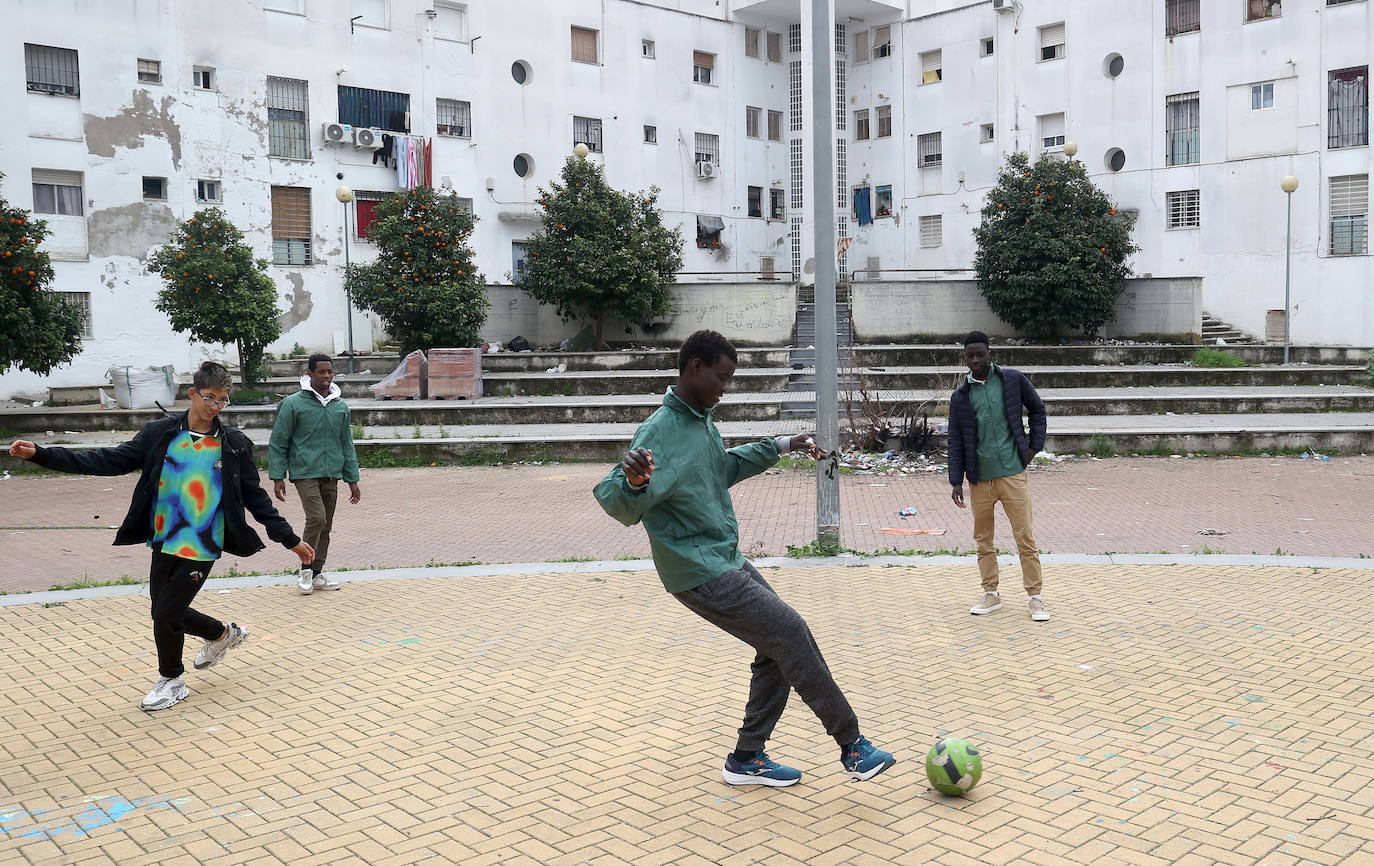 Fotos: el trabajo solidario del proyecto La Puerta Verde en el Guadalquivir