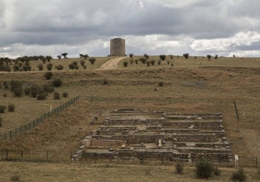 El ADN esclarece, siete años después, al autor del expolio de Uxama (Soria)