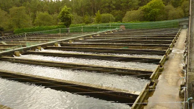 El pueblo de 29 habitantes de Guadalajara que podría albergar la mayor piscifactoría de salmón del sur de Europa