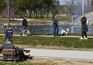 Un joven denuncia que fue violado por ocho hombres el día de Año Nuevo en un parque de Madrid