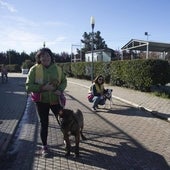La vida de las mascotas mayores y enfermas que buscan un nuevo hogar