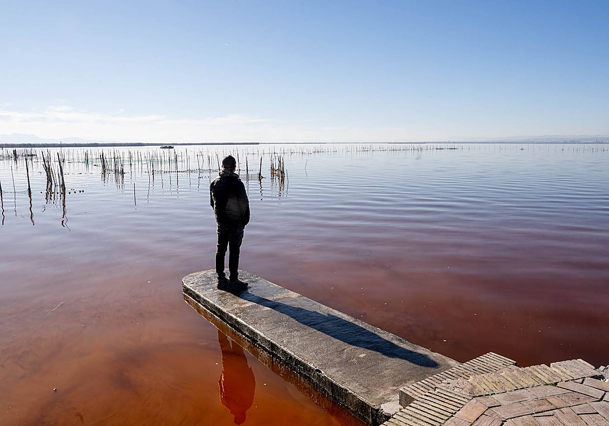 Imagen del estado del lago de la Albufera durante la última semana de diciembre