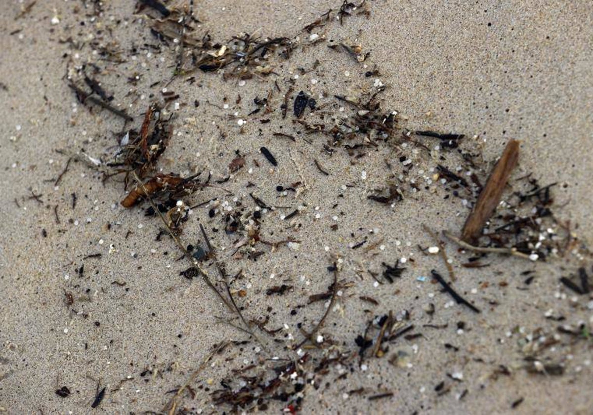 Pellets en la playa de Doniños, en Ferrol