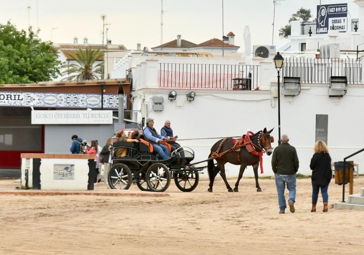 Un maratón con una mula, se supone que sería calificado como carruaje pequeño y pagaría 50 euros por el pase de romería