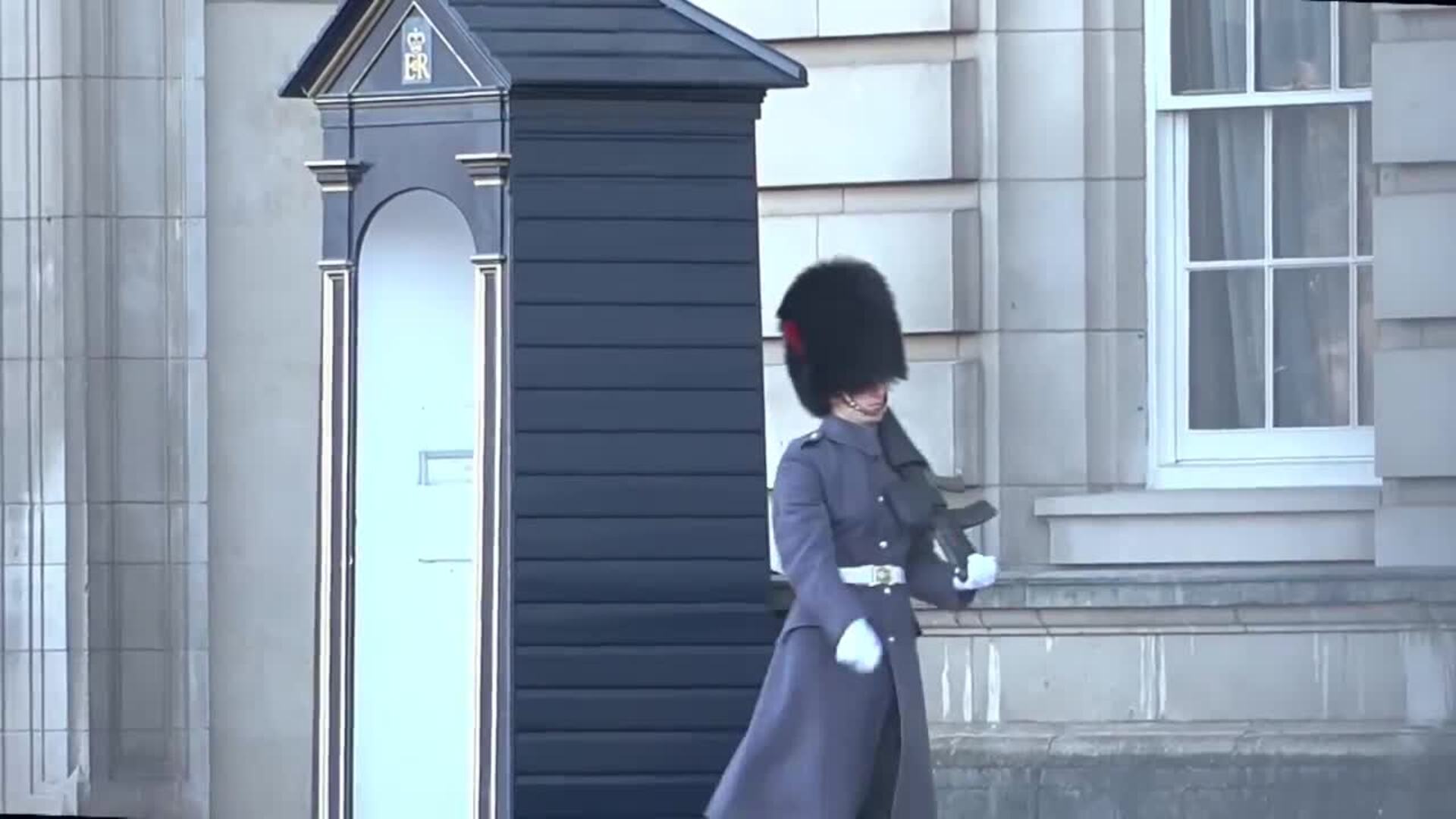 Stephen Fry pide que la Guardia Real británica deje los sombreros de piel de oso