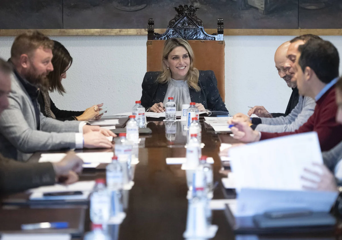 Imagen de la presidenta Barrachina durante la Junta de Gobierno de la Diputación de Castellón