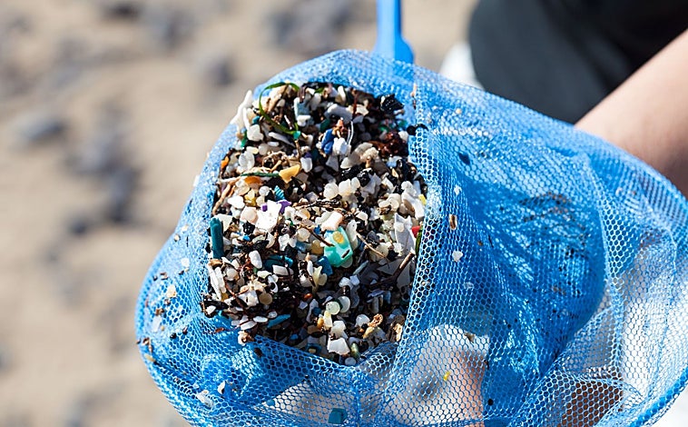 Imagen principal - Muestreos de microplásticos realizados por la Doctora Alicia Hererra Ulibarri en Canarias