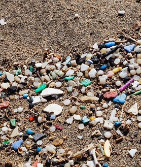 Imagen secundaria 2 - Muestreos de microplásticos realizados por la Doctora Alicia Hererra Ulibarri en Canarias